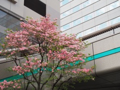 スナップ 198
