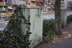 スナップ 1647