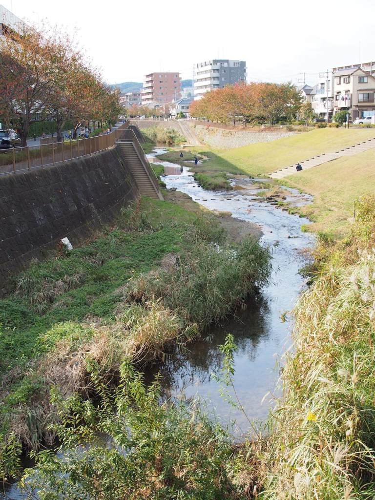 スナップ　574