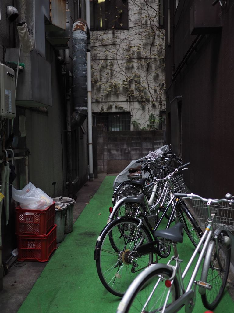スナップ 672