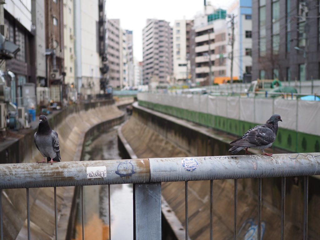 スナップ 139