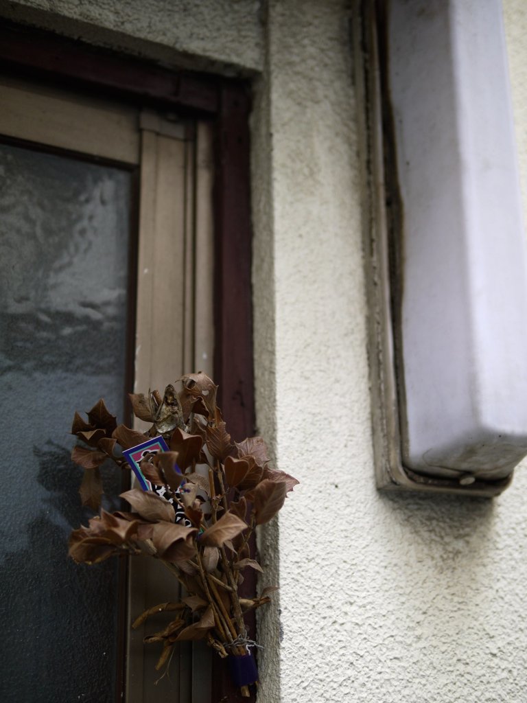 pana leica 25mm F1.4 sample 008