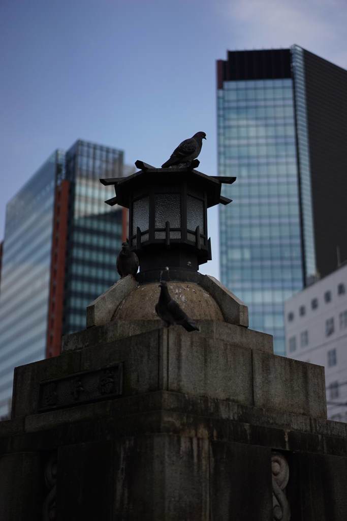 スナップ 1679