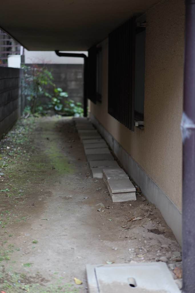 スナップ 1880