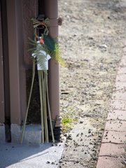 tam 14-150 sample 038