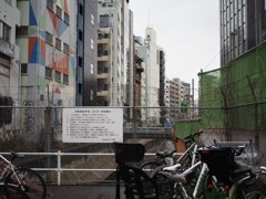 スナップ 137