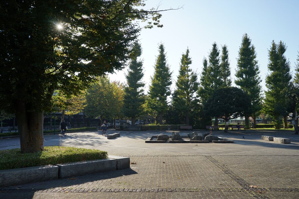 スナップ 2950