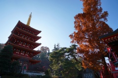 高幡不動2017秋 6