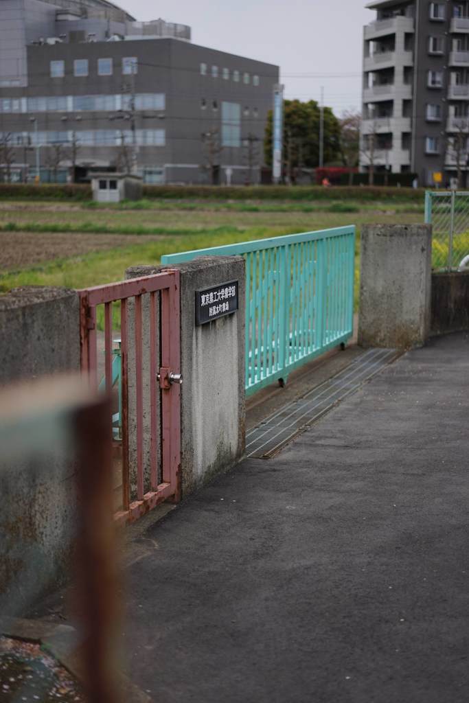 スナップ 1916