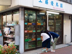スナップ 3634