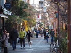 tam 14-150 sample 198