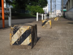スナップ 248