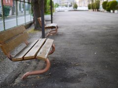 pana leica 25mm F1.4 sample 015