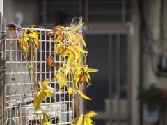 tam 14-150 sample 036