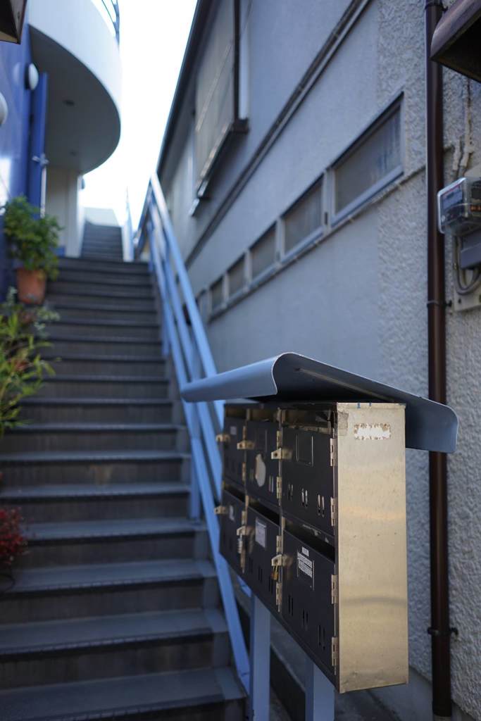 スナップ 1550