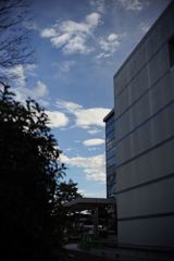 スナップ 1384 軽く絞って