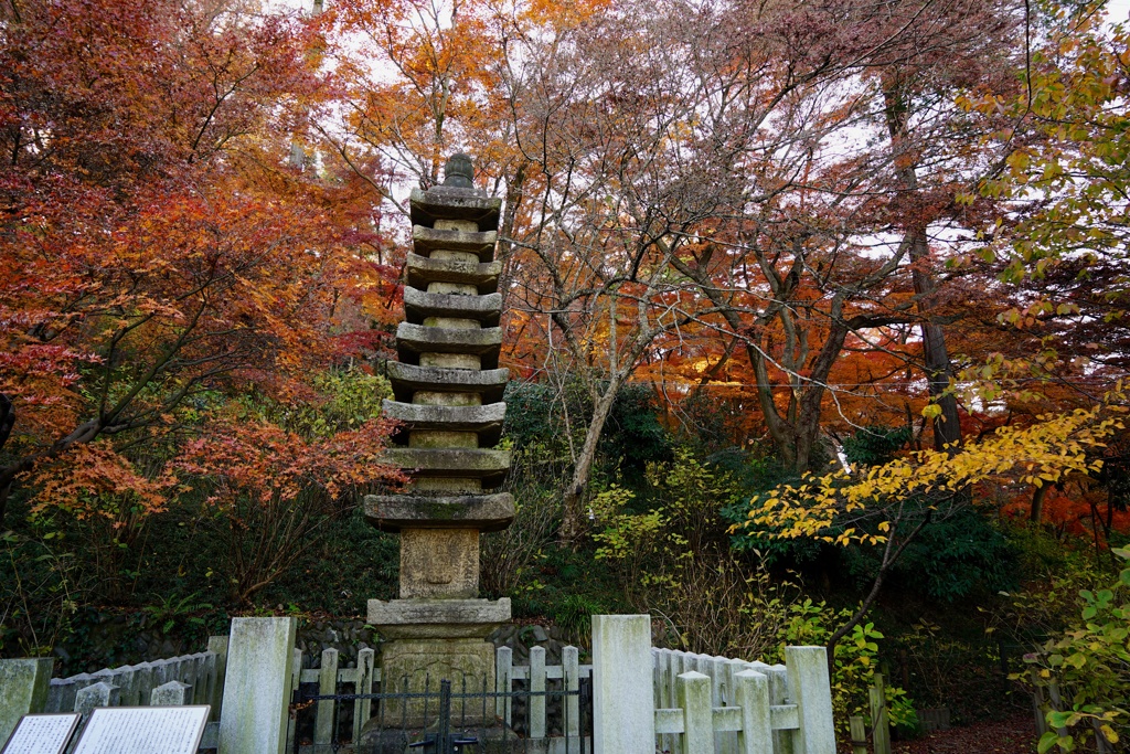 高幡不動2017秋 38