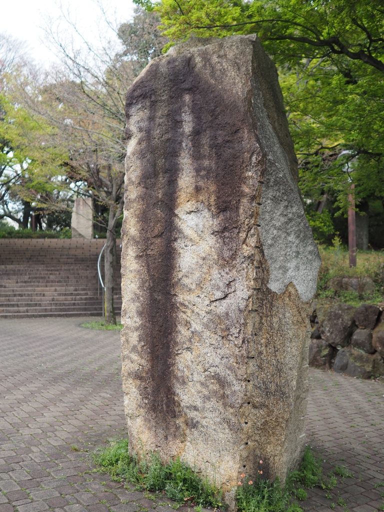 スナップ 3228