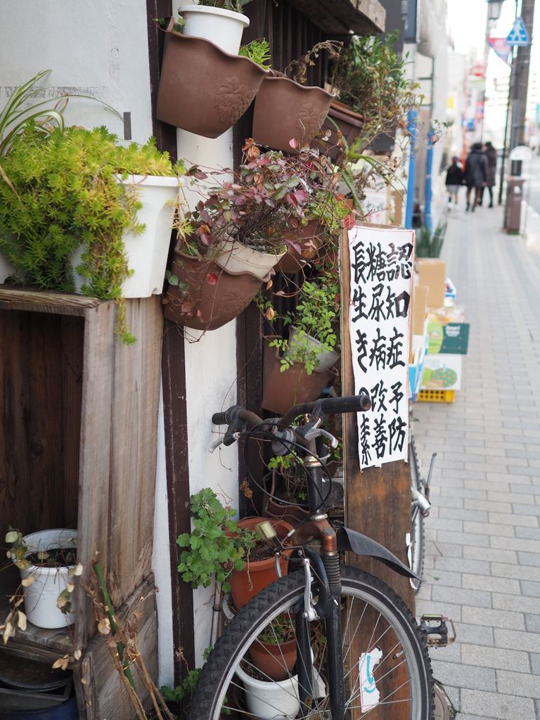 スナップ 1133