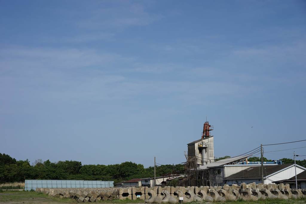 スナップ 2263