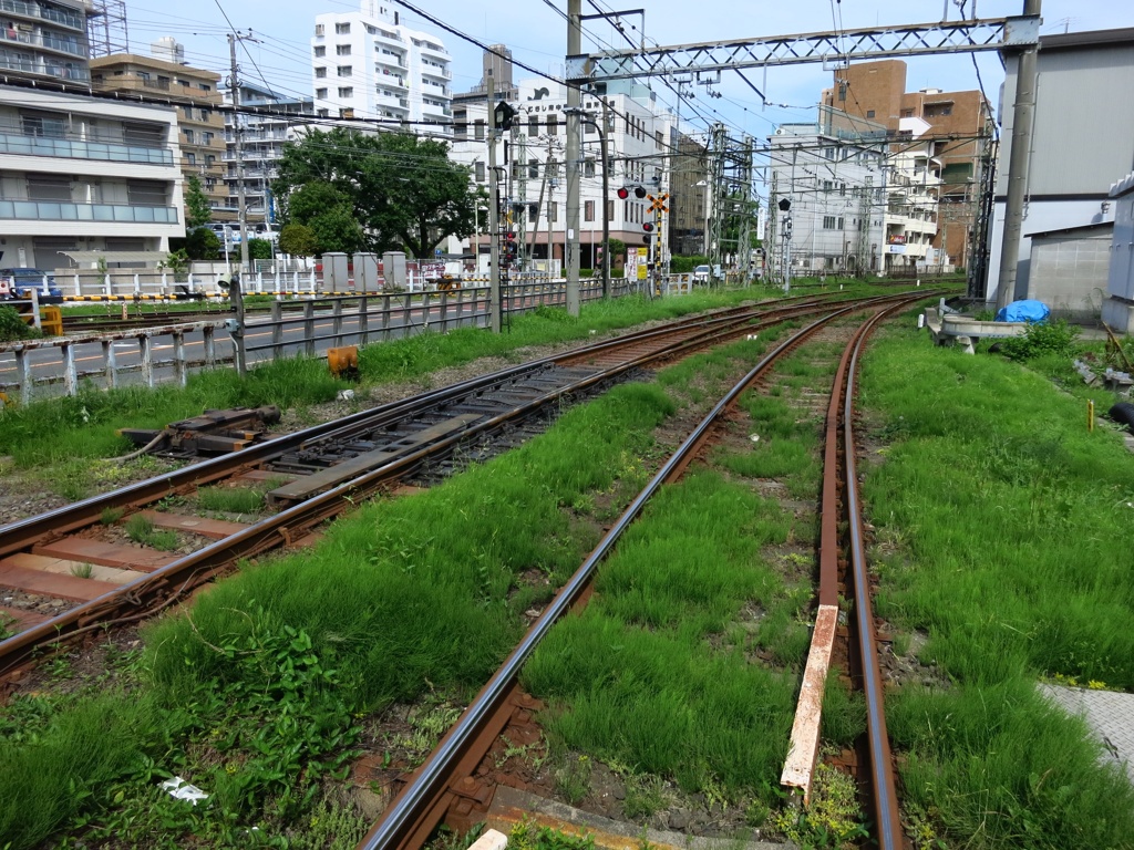 スナップ 247