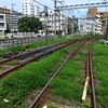 スナップ 247