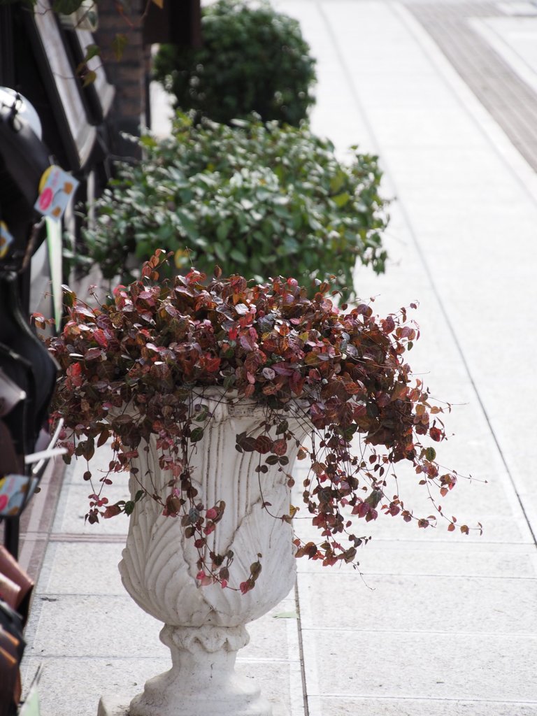 tam 14-150 sample 019