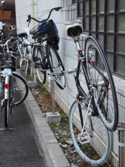 スナップ 3631