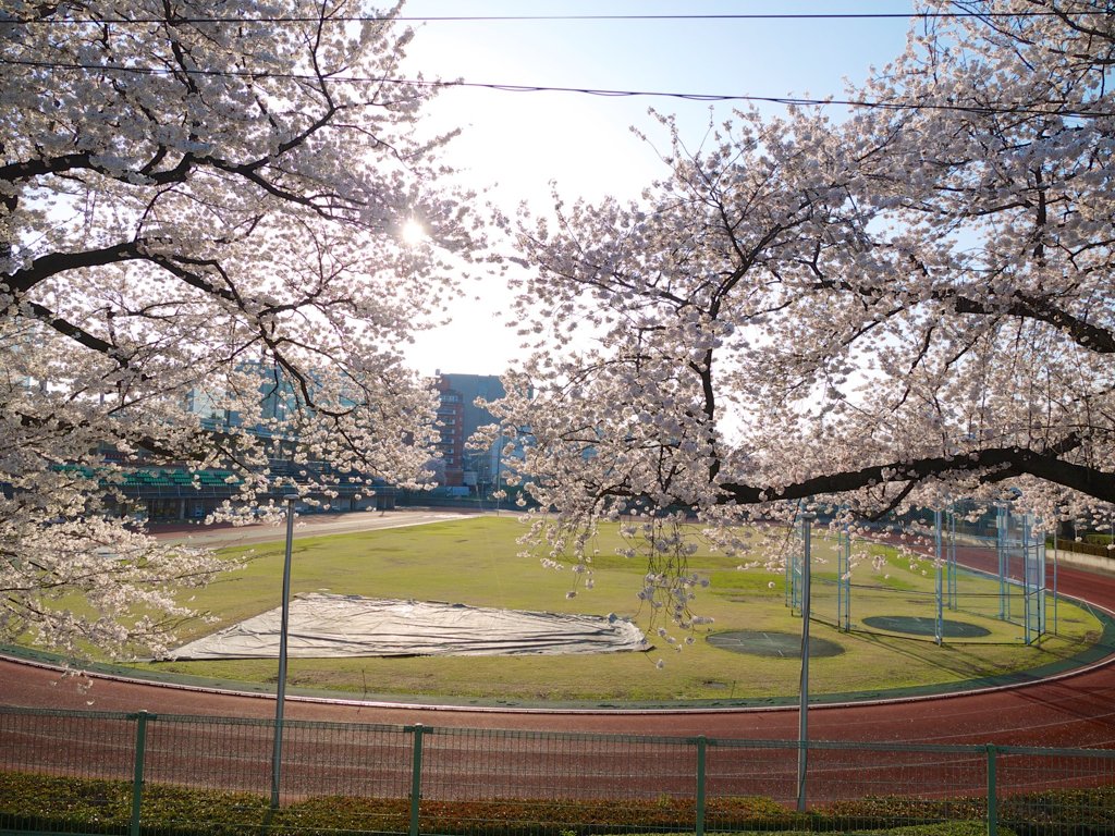 pana  12-35mm F2.8 sample 013