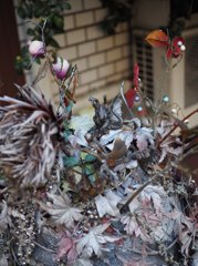 中野 2014-12 スナップ 0015