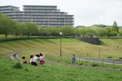 スナップ 1974