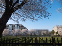 pana  12-35mm F2.8 sample 015