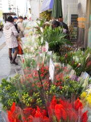 tam 14-150 sample 031