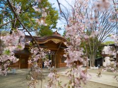 pana  12-35mm F2.8 sample 003