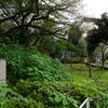 スナップ 2828