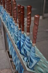 スナップ 2813