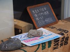 スナップ 714