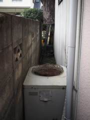 スナップ　543