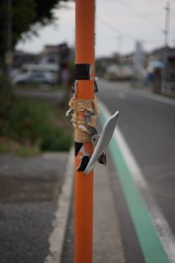 スナップ 3615