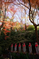高幡不動2017秋 33