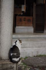 スナップ 1614