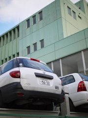 pana leica 25mm F1.4 sample 022