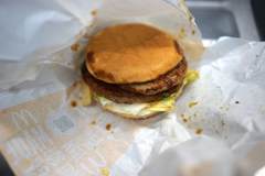 投票可能期間中皆勤投票