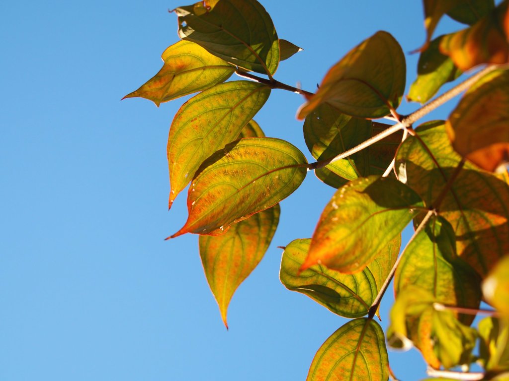 tam 14-150 sample 193