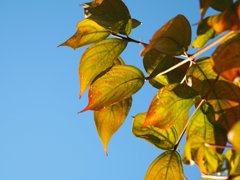 tam 14-150 sample 193