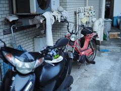 スナップ 993