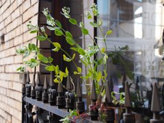 tam 14-150 sample 192