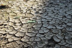 crack （スナップ 2942）