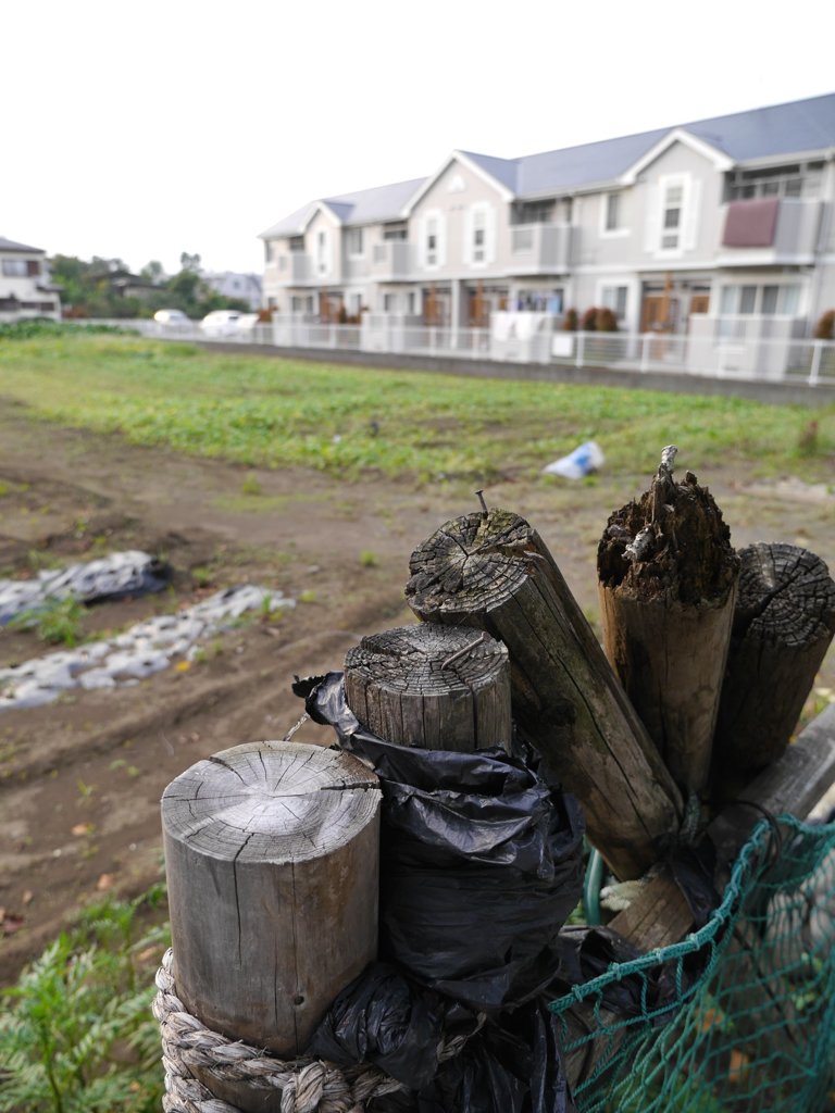 pana  12-35mm F2.8 sample 018