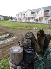 pana  12-35mm F2.8 sample 018